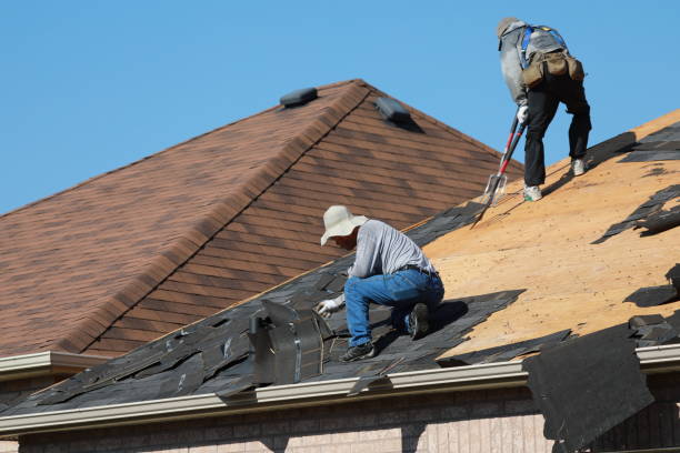 Best Roof Moss and Algae Removal  in Exton, PA